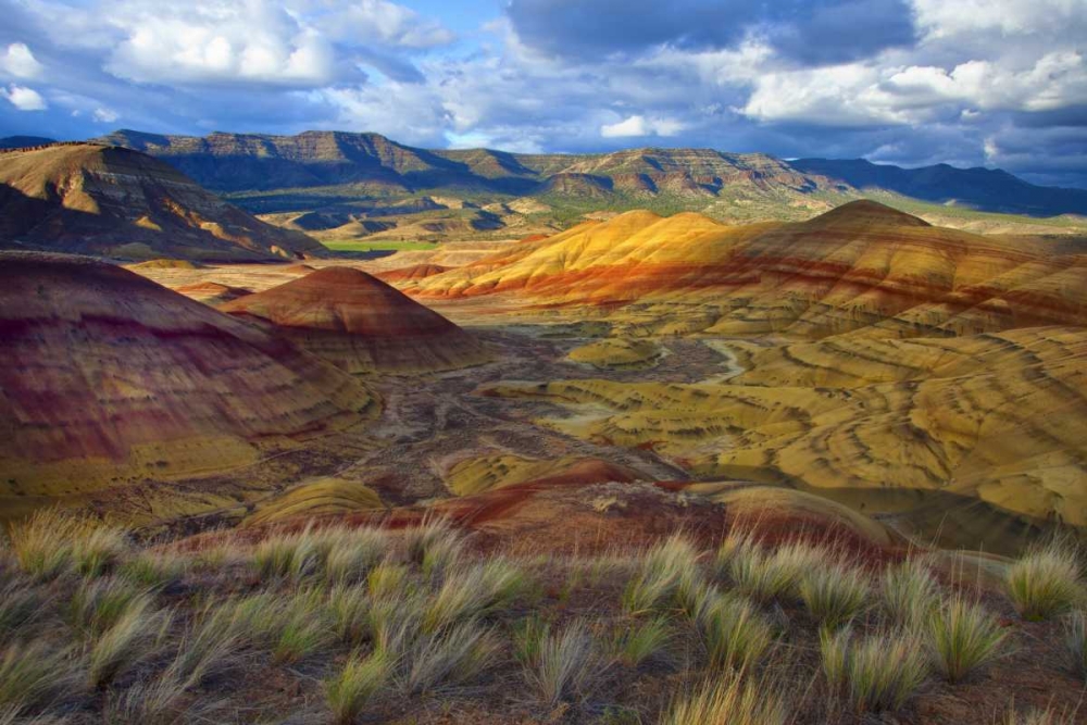 OR, John Day Fossil Beds NM, Painted Hills Unit art print by Jean Carter for $57.95 CAD