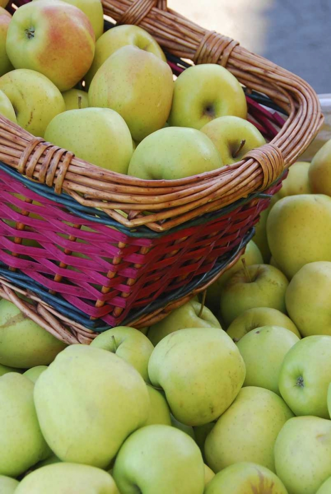 OR, Hood River Valley Basket of green apples art print by Steve Terrill for $57.95 CAD