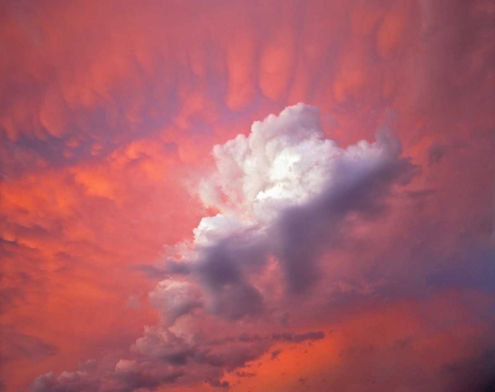 Oregon, Portland Clouds with sunset colors art print by Steve Terrill for $57.95 CAD