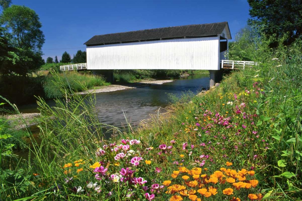 OR, Gallon House covered bridge over Abiqua Creek art print by Steve Terrill for $57.95 CAD