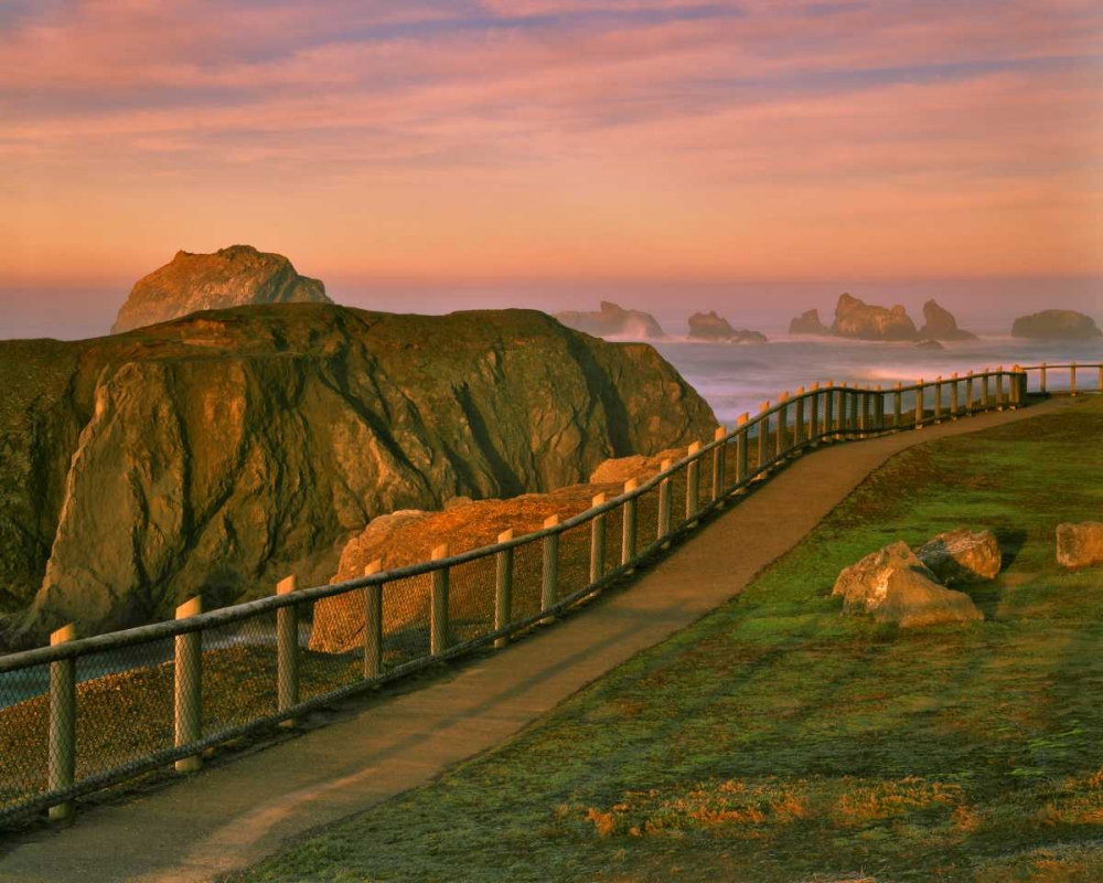 OR, Bandon Rocks viewed from trail to beach art print by Steve Terrill for $57.95 CAD