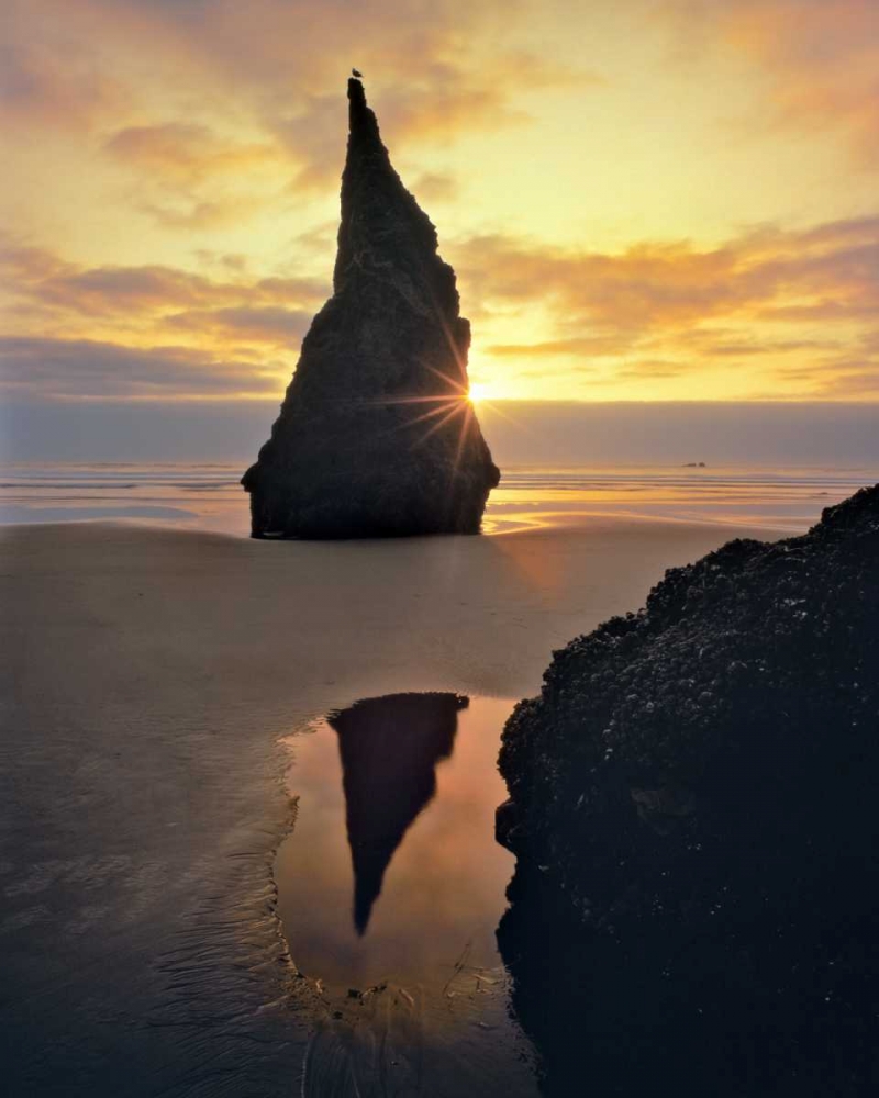 Oregon Rock formation at sunset on Bandon Beach art print by Steve Terrill for $57.95 CAD