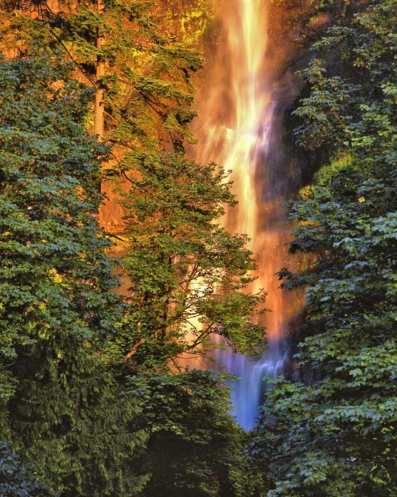 OR, Columbia Gorge Sunset on Multnomah Falls art print by Steve Terrill for $57.95 CAD