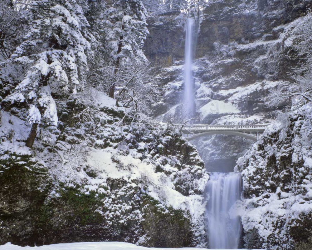 OR, Columbia Gorge Winter at Multnomah Falls art print by Steve Terrill for $57.95 CAD