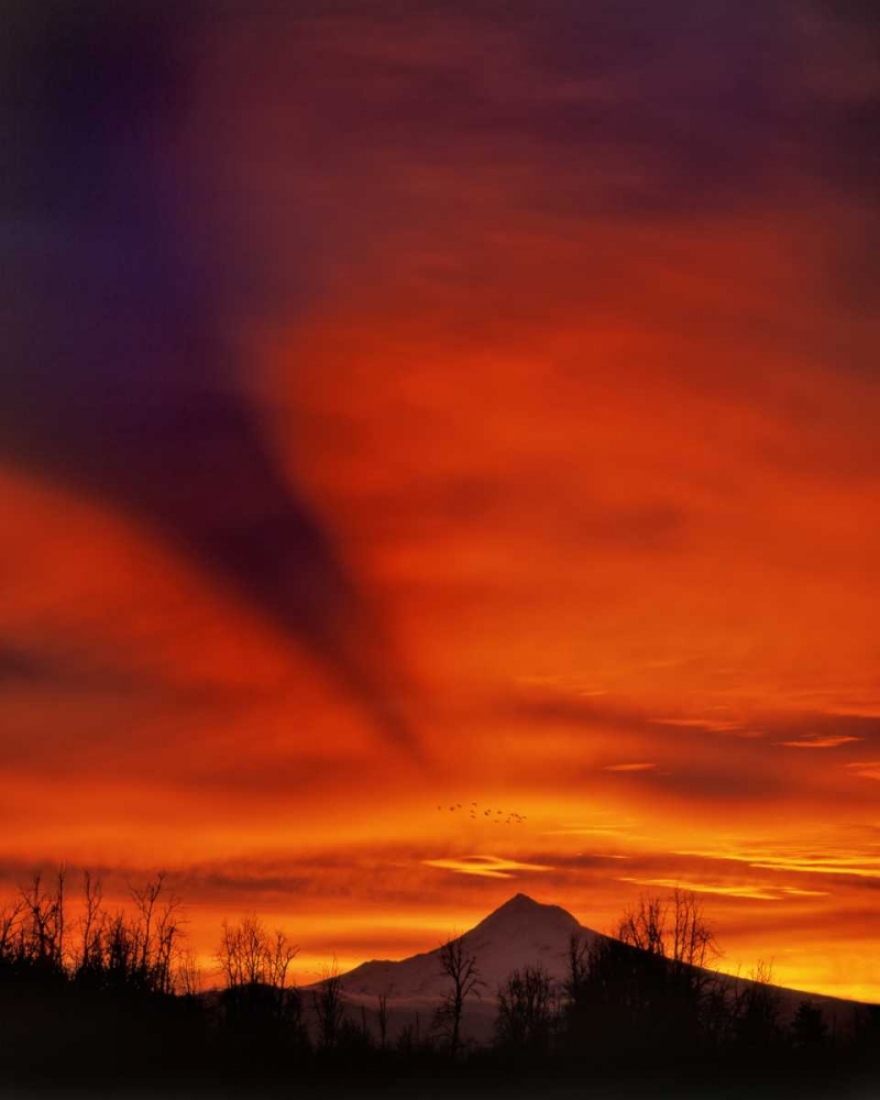 Oregon Sunrise with mountain shadow over Mt Hood art print by Steve Terrill for $57.95 CAD