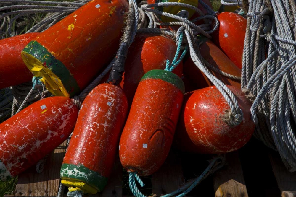 OR, Garibaldi Red and green crab pot buoys art print by Jean Carter for $57.95 CAD