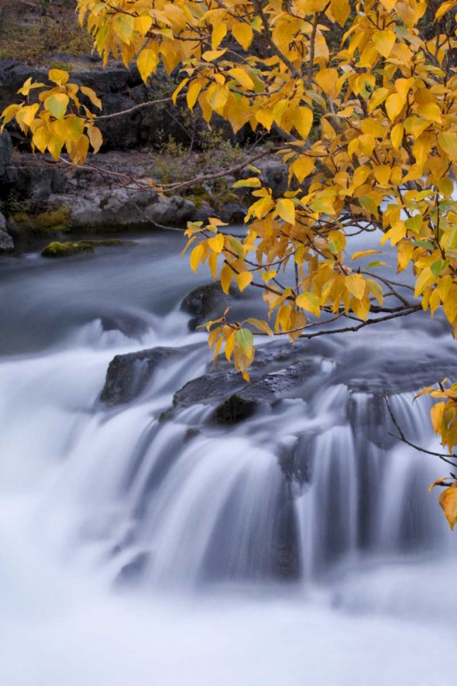 USA, Oregon Rogue River waterfalls in autumn art print by Jean Carter for $57.95 CAD