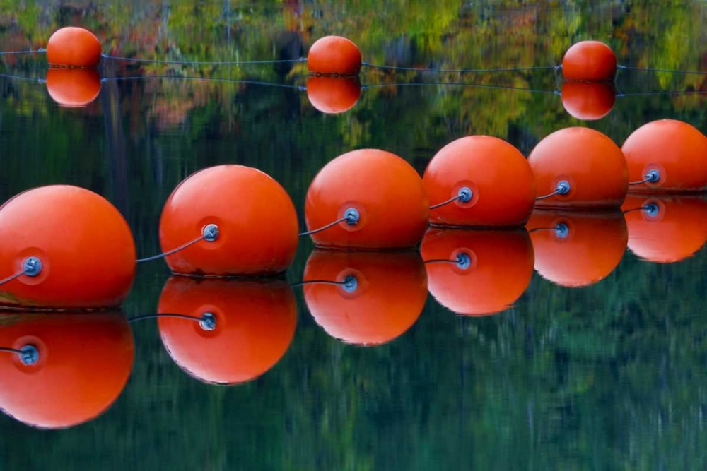 USA, Oregon Orange buoys form dam on Rogue River art print by Jean Carter for $57.95 CAD