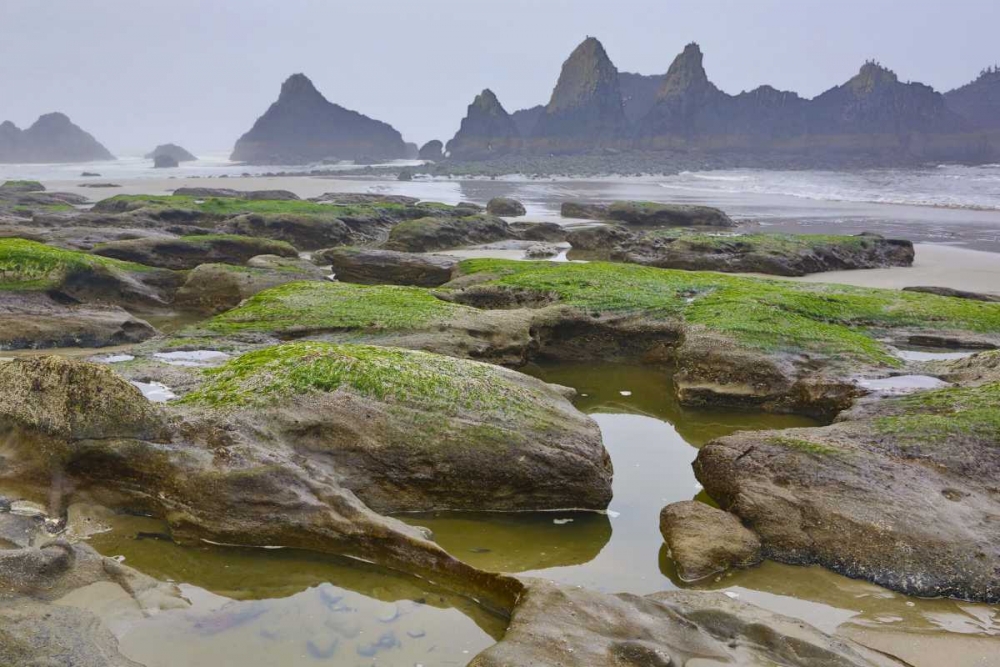 Oregon, Seal Rock SP Rocky beach at low tide art print by Jean Carter for $57.95 CAD