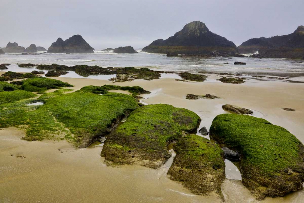 Oregon, Seal Rock SP Rocky beach at low tide art print by Jean Carter for $57.95 CAD