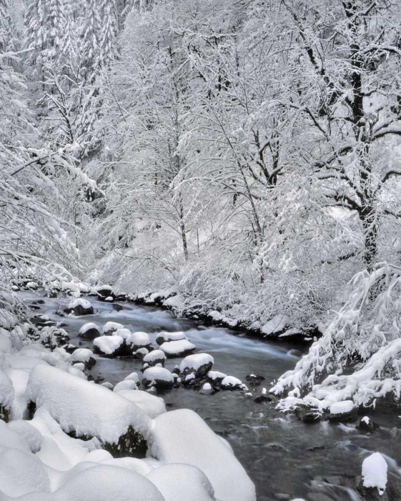 Oregon, Mt Hood NF Snow on Boulder Creek art print by Steve Terrill for $57.95 CAD