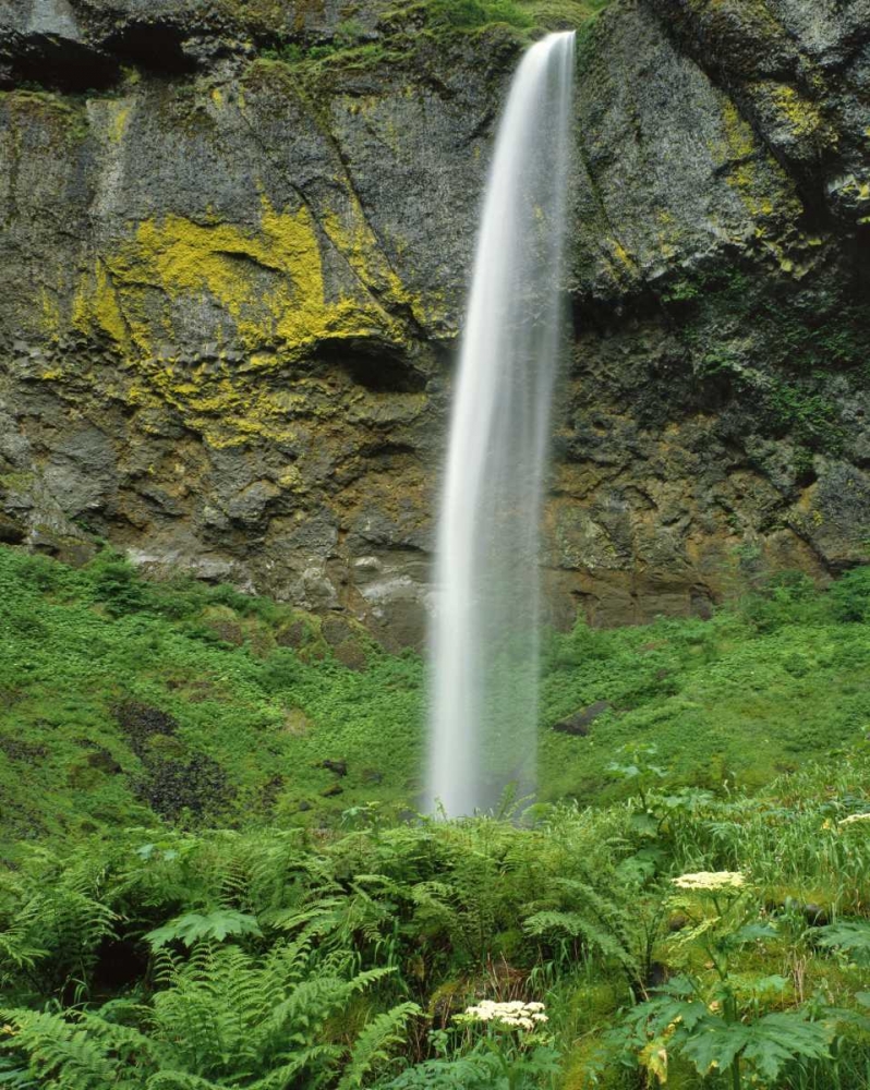 OR, Columbia River Gorge NSA Elowah Falls scenic art print by Steve Terrill for $57.95 CAD