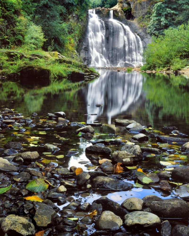 Oregon, Youngs River Falls Waterfall landscape art print by Steve Terrill for $57.95 CAD