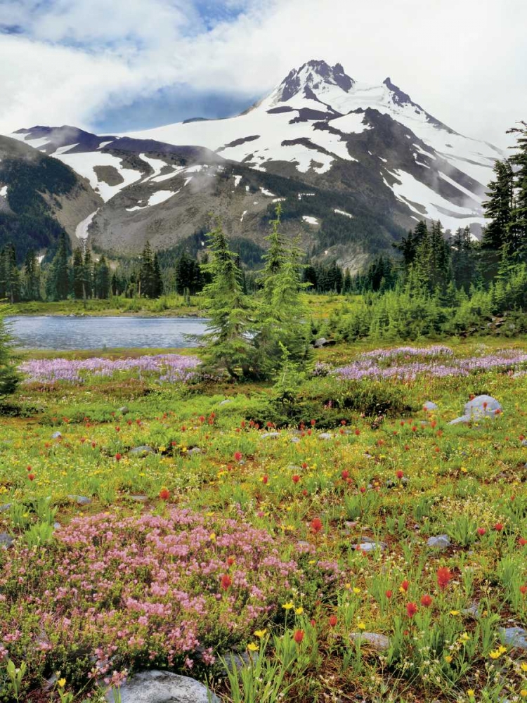 OR Mount Jefferson and field of flowers art print by Steve Terrill for $57.95 CAD