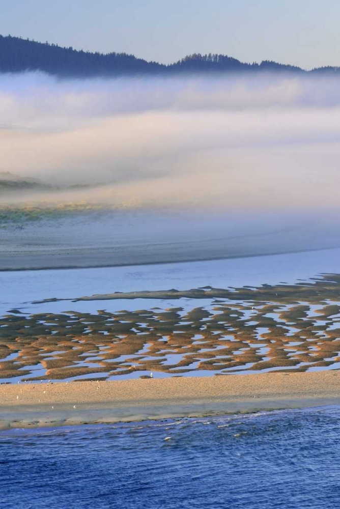 USA, Oregon Fog over Netarts Bay art print by Steve Terrill for $57.95 CAD