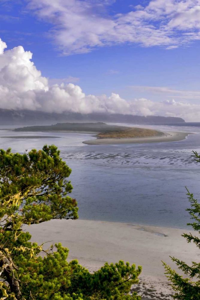 Oregon Netarts Bay in Cape Lookout State Park art print by Steve Terrill for $57.95 CAD