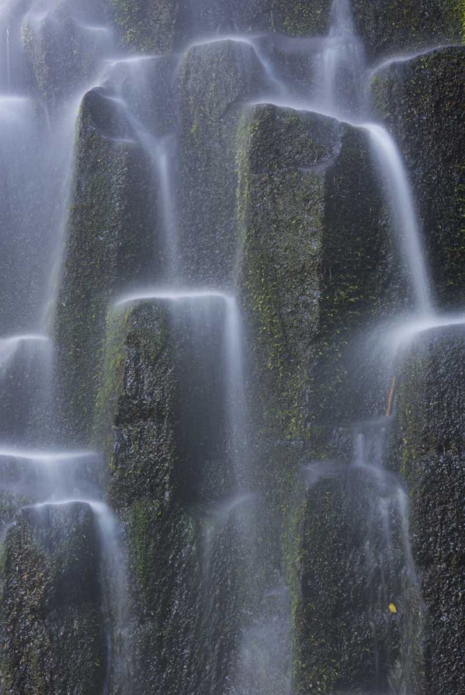 Oregon, Proxy Falls Waterfalls over basalt art print by Gilles Delisle for $57.95 CAD