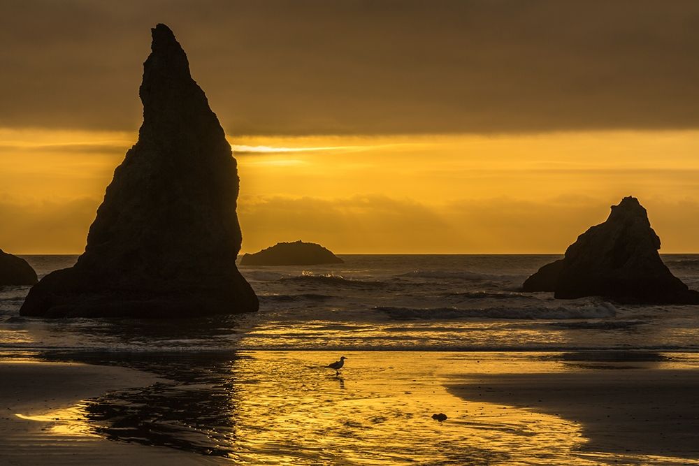 Oregon-Bandon Beach Wizards Hat formation at sunset  art print by Jaynes Gallery for $57.95 CAD