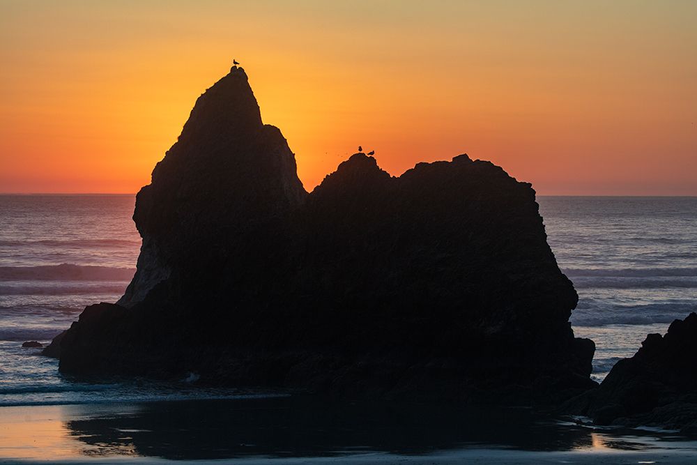 Humbug Point at sunset near Cannon Beach-Oregon-USA art print by Chuck Haney for $57.95 CAD