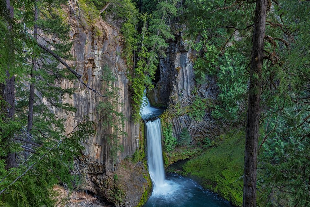 Toketee Falls runs over basalt columns in the Umpqua National Forest-Oregon-USA art print by Chuck Haney for $57.95 CAD