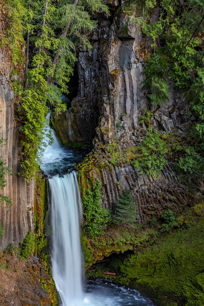 Toketee Falls runs over basalt columns in the Umpqua National Forest-Oregon-USA art print by Chuck Haney for $57.95 CAD