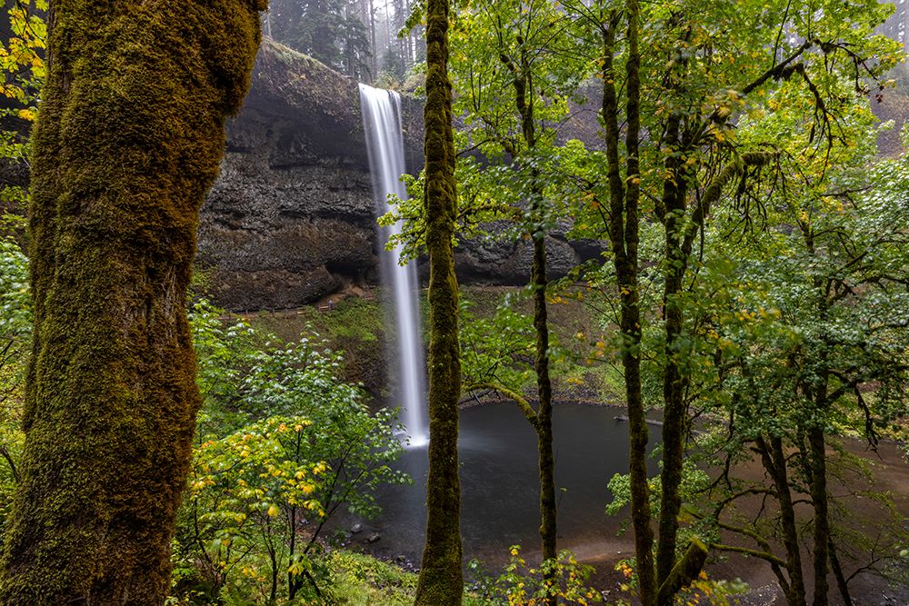 South Falls at Silver Falls State Park near Sublimity-Oregon-USA art print by Chuck Haney for $57.95 CAD