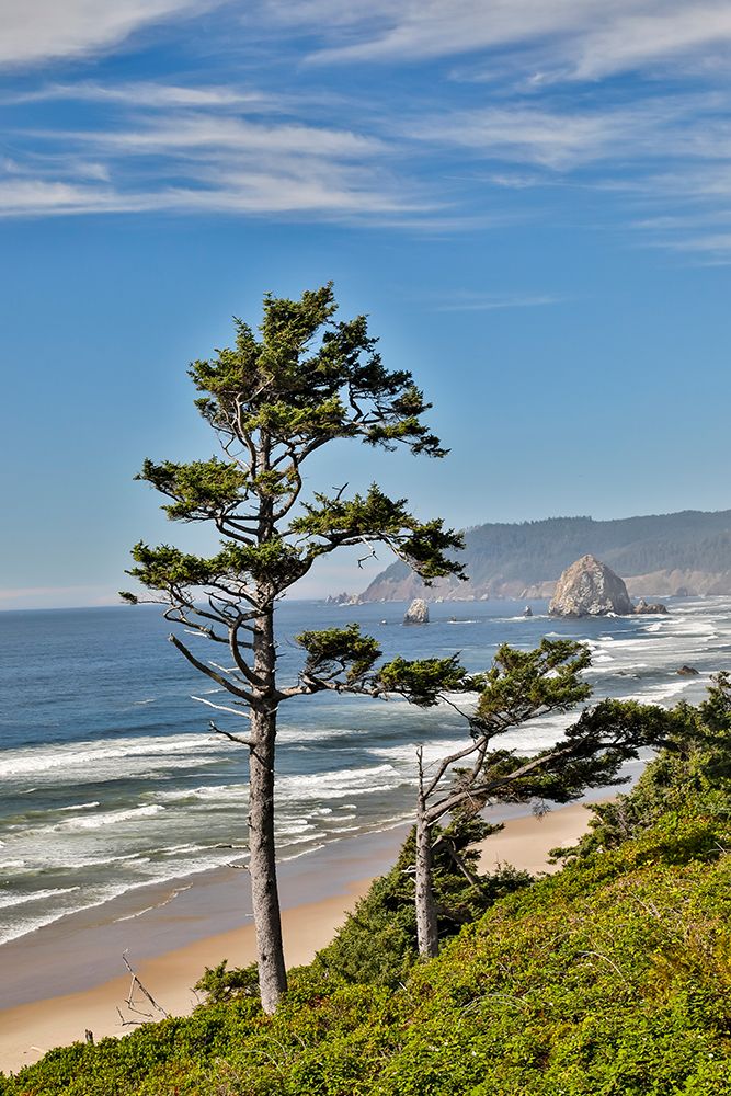 USA- Oregon. Cannon Beach with Haystack art print by Darrell Gulin for $57.95 CAD
