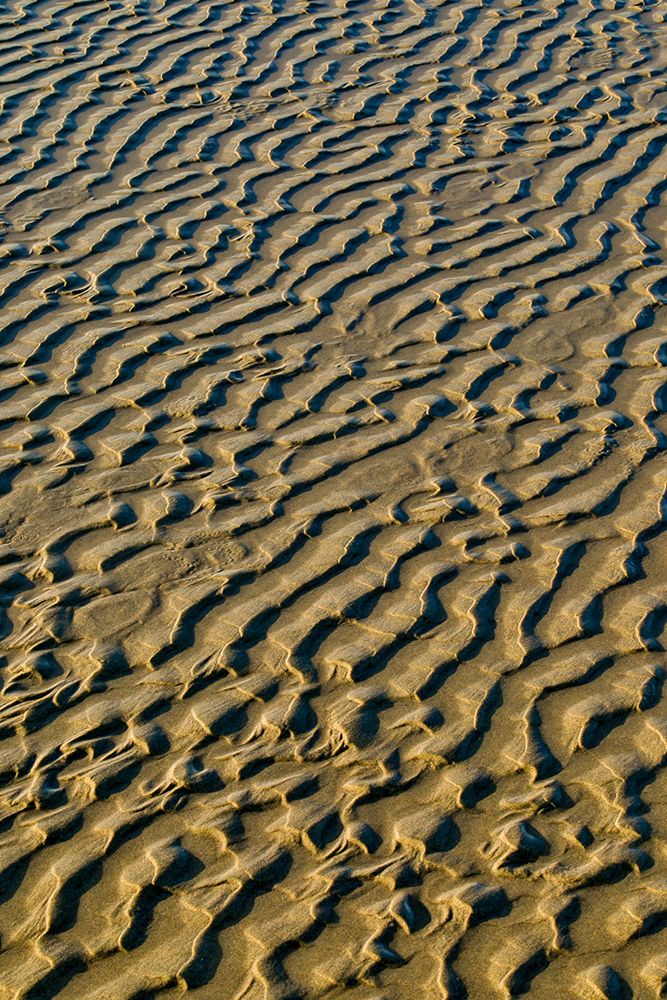 USA- Oregon. Cannon Beach low tide and ripples in the sand. art print by Darrell Gulin for $57.95 CAD