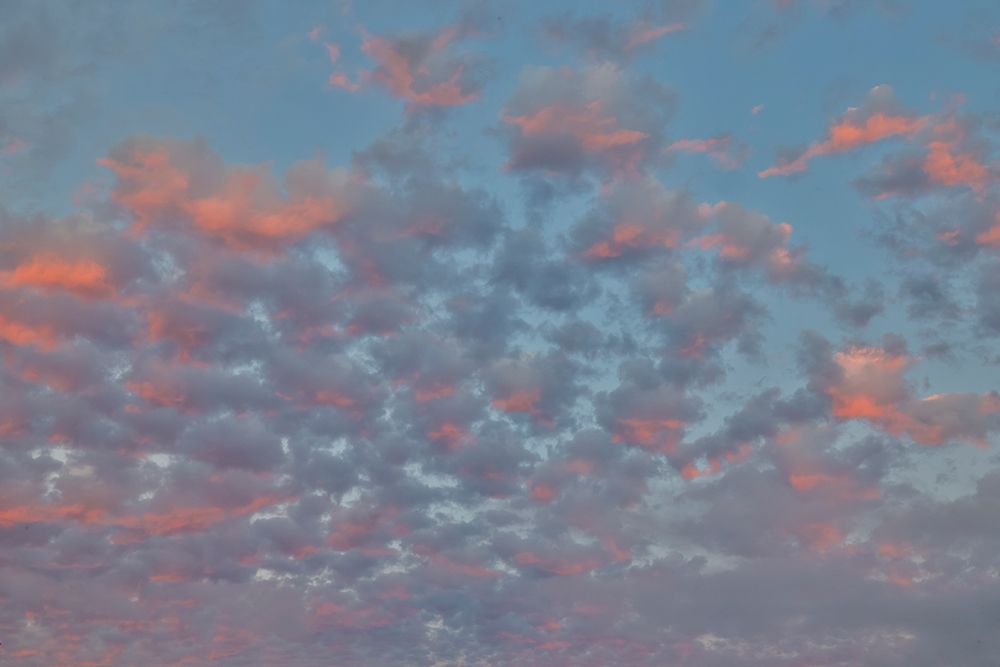 Cannon Beach along the Oregon Coast sunset. art print by Darrell Gulin for $57.95 CAD