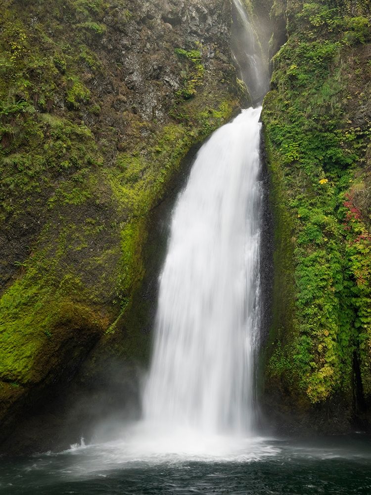 OR-Columbia River Gorge National Scenic Area-Wahclella Falls art print by Jamie and Judy Wild for $57.95 CAD