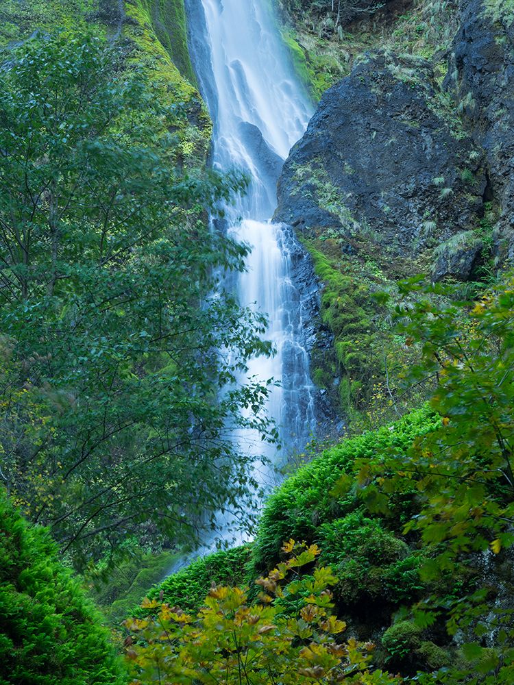 Oregon-Columbia River Gorge National Scenic Area-Starvation Creek Falls art print by Jamie and Judy Wild for $57.95 CAD