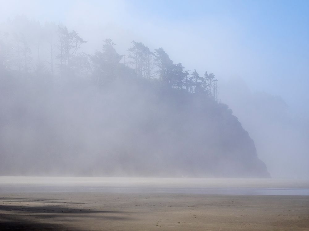 Oregon-Hug Point Morning fog art print by Jamie and Judy Wild for $57.95 CAD