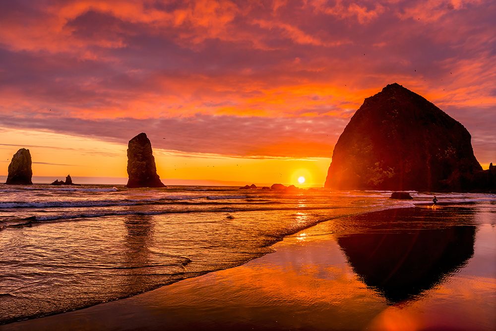 Colorful sunset-birds-Haystack Rock sea stacks-Canon Beach-Clatsop County-Oregon-Originally discove art print by William Perry for $57.95 CAD