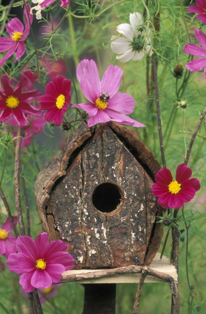 PA, Birdhouse among cosmos flowers with bee art print by Nancy Rotenberg for $57.95 CAD
