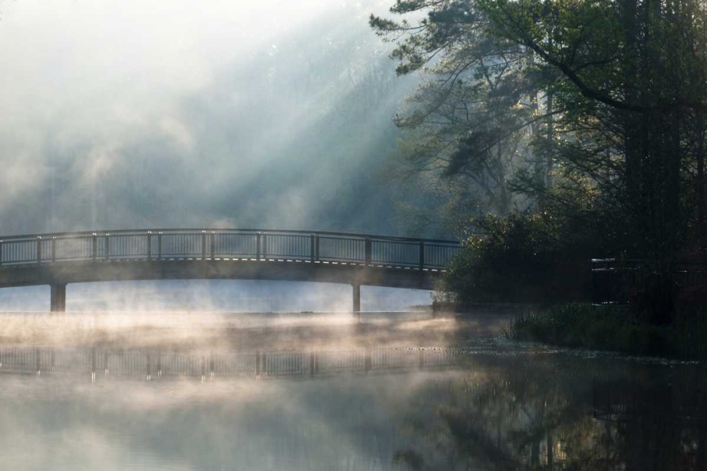 Georgia Sunlit mist on bridge over lake art print by Nancy Rotenberg for $57.95 CAD