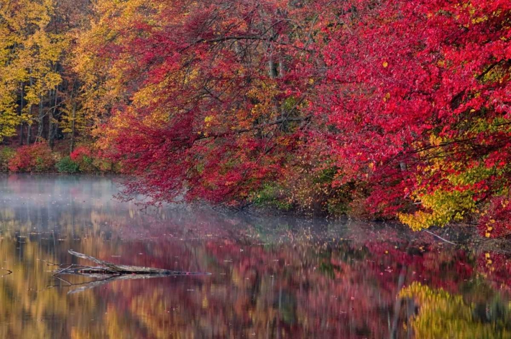 PA, Hidden Lake Trees in autumn reflect in lake art print by Jay OBrien for $57.95 CAD