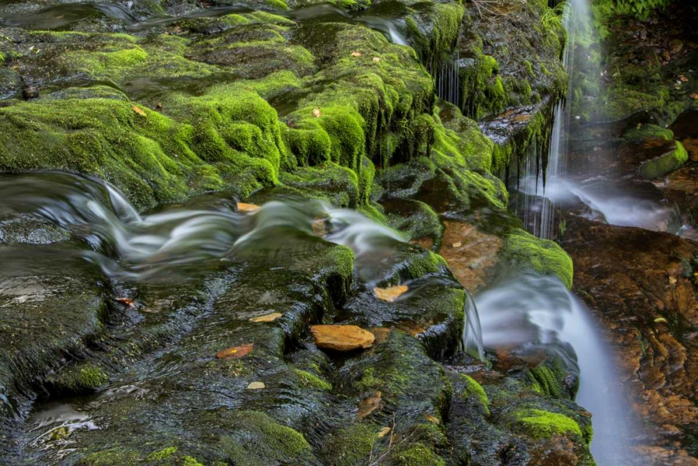 Pennsylvania, Ricketts Glen SP Flowing stream art print by Jay OBrien for $57.95 CAD