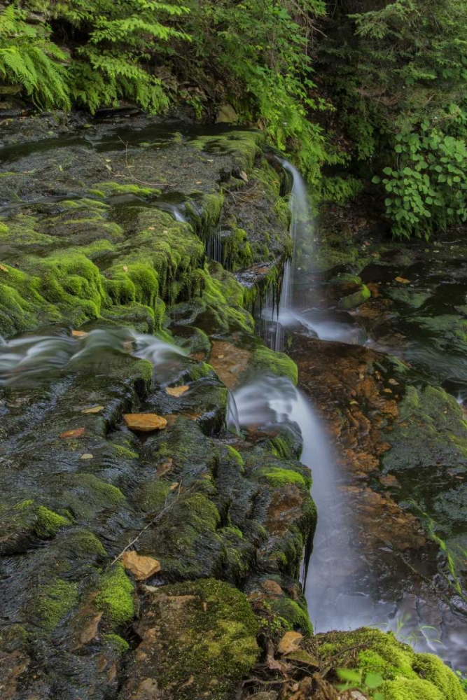 Pennsylvania, Ricketts Glen SP Flowing stream art print by Jay OBrien for $57.95 CAD