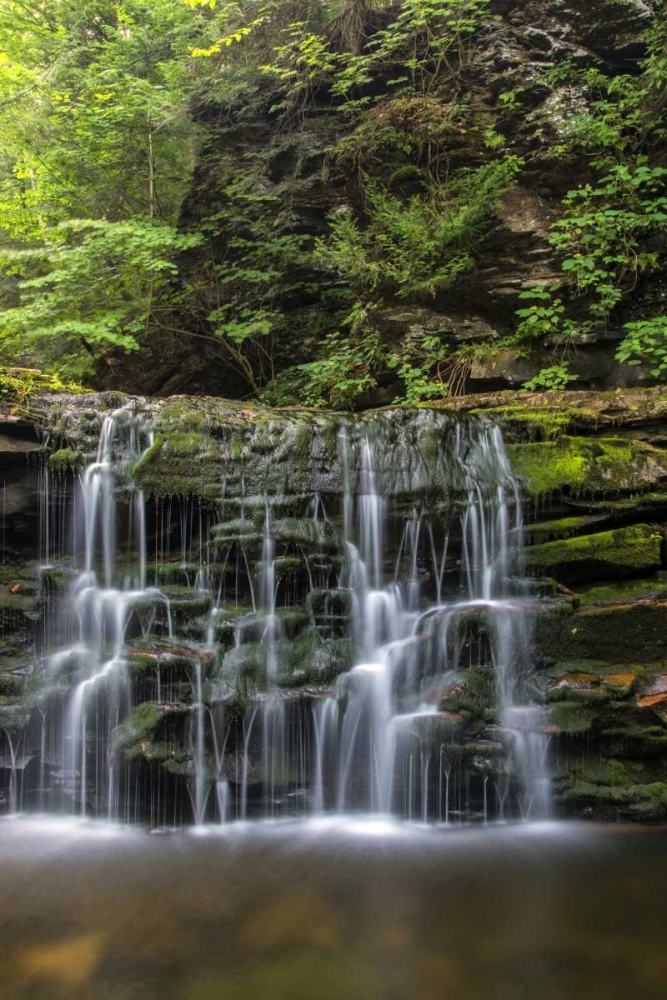 Pennsylvania Waterfall in Ricketts Glen SP art print by Jay OBrien for $57.95 CAD