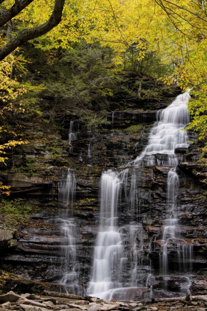 Pennsylvania Waterfall in Ricketts Glen SP art print by Jay OBrien for $57.95 CAD