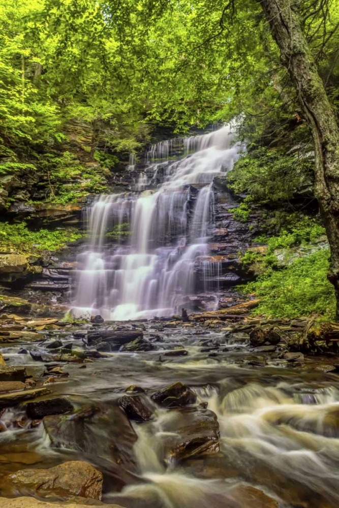 Pennsylvania, Ricketts Glen SP Mohican Falls art print by Jay OBrien for $57.95 CAD