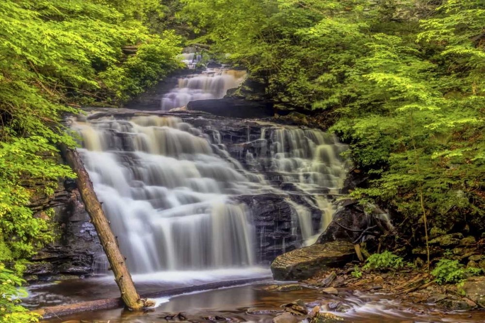 Pennsylvania, Ricketts Glen SP Mohican Falls art print by Jay OBrien for $57.95 CAD