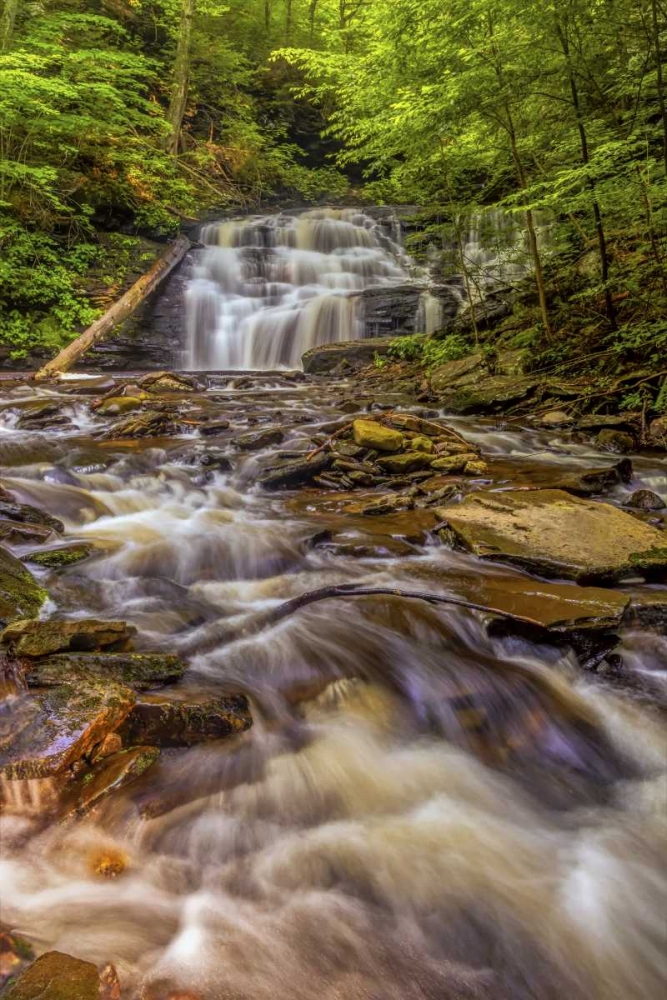 Pennsylvania, Ricketts Glen SP Mohican Falls art print by Jay OBrien for $57.95 CAD