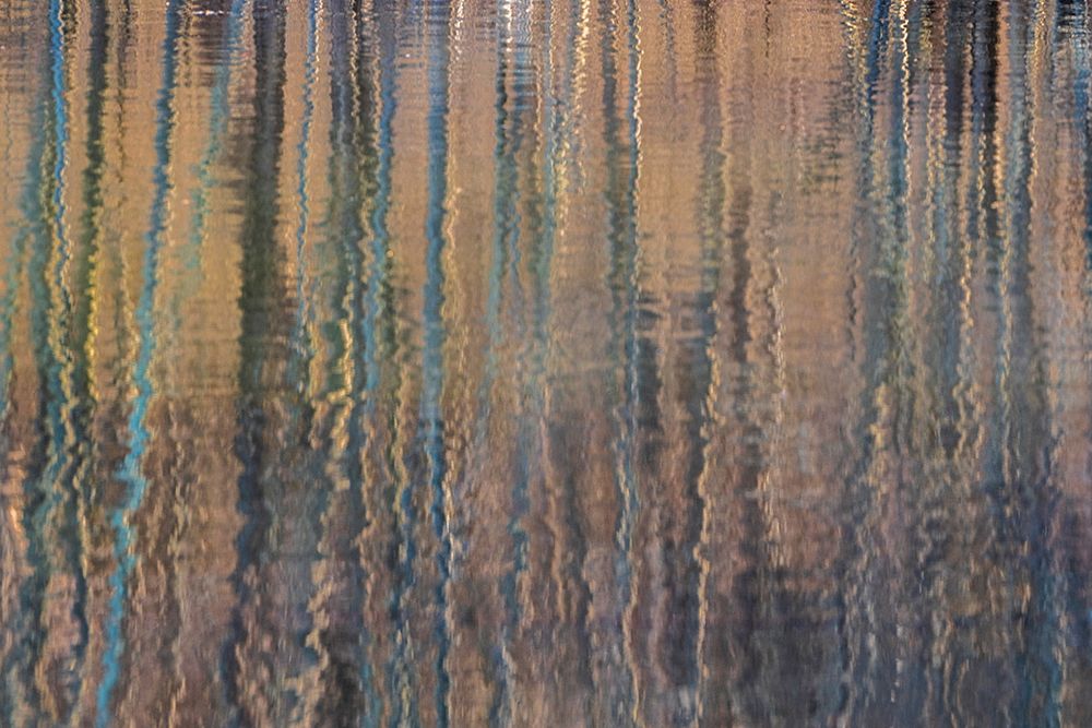 USA-Pennsylvania-Delaware Water Gap Recreational Area. Tree ripple reflections on lake. art print by Jaynes Gallery for $57.95 CAD