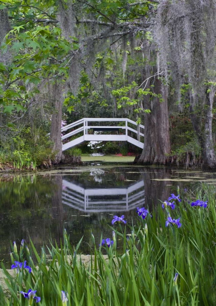 South Carolina, Wood footbridge reflects in pond art print by Nancy Rotenberg for $57.95 CAD