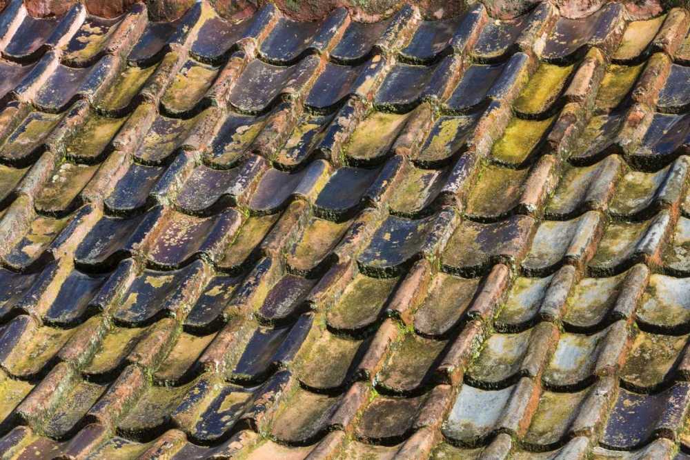 SC, Charleston Roof tiles on Plantation building art print by Don Paulson for $57.95 CAD