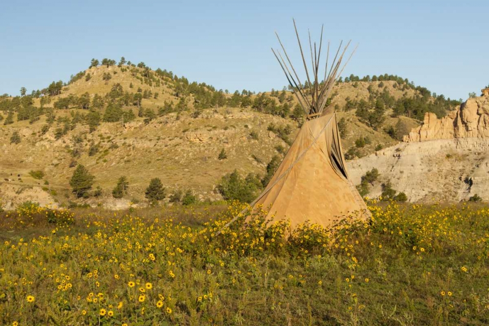 SD, Wild Horse Sanctuary Scenic with teepee art print by Cathy and Gordon Illg for $57.95 CAD