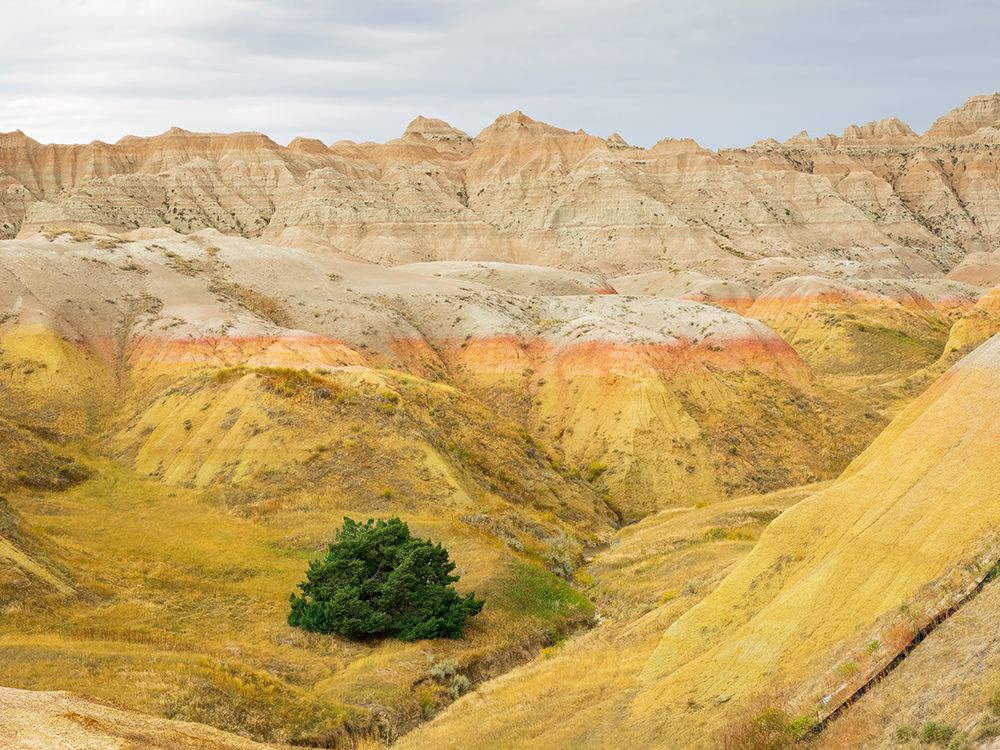 South Dakota- Badlands National Park. Badlands rock formations- Yellow Mounds art print by Jamie and Judy Wild for $57.95 CAD