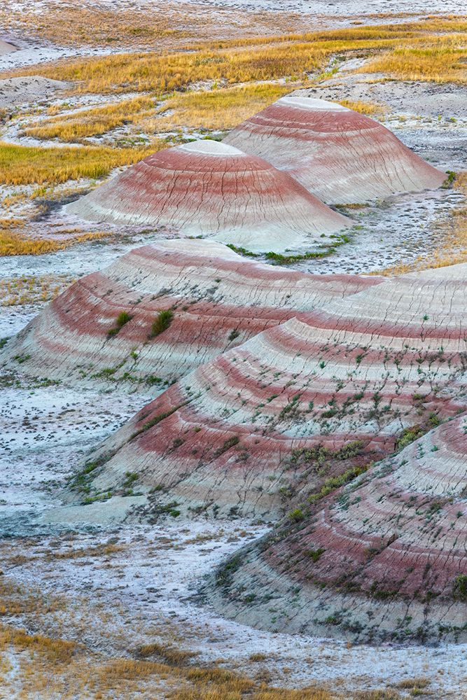 A half circle of rounded mounds or hoodoo-sharply striated with reds art print by Sheila Haddad for $57.95 CAD