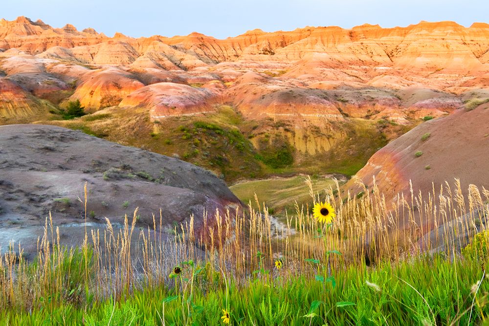 A painterly image of softer hoodoos set against a row of wildflowers and grass art print by Sheila Haddad for $57.95 CAD
